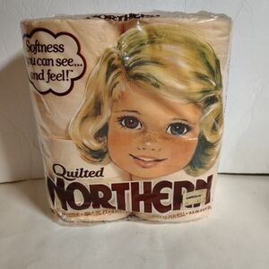 Vintage 1983 Northern Bathroom Tissue 4 Pack 2 Ply Peach Color NIP